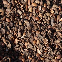 argan-olie-01737907171.jpg