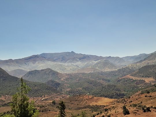 20230725_120044.jpg